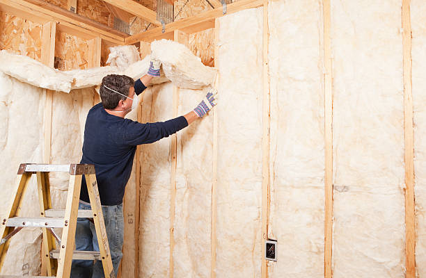 Best Insulation for Existing Homes  in USA